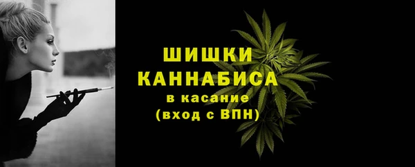 не бодяженный Гатчина