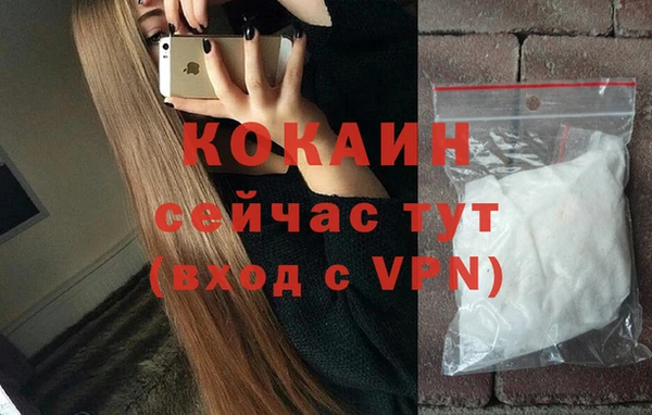 твердый Няндома