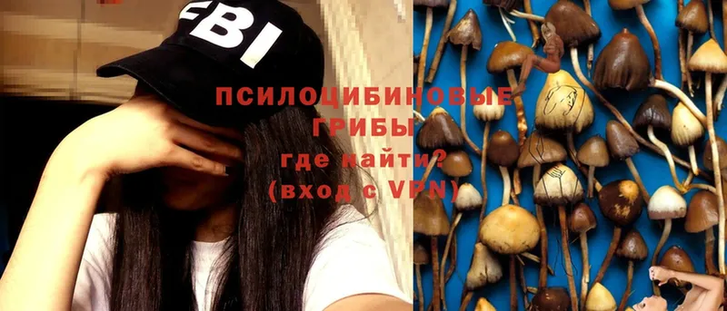 Псилоцибиновые грибы Magic Shrooms  магазин    Ипатово 