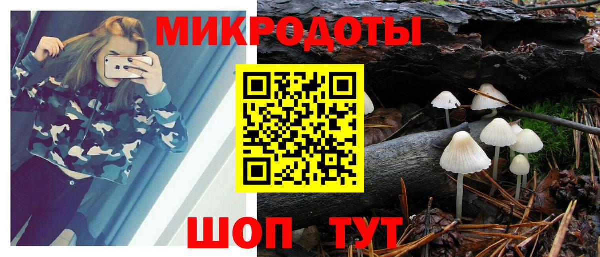 Ипатово  Галлюциногенные грибы Cubensis  Псилоцибиновые грибы мицелий  Вход с VPN 